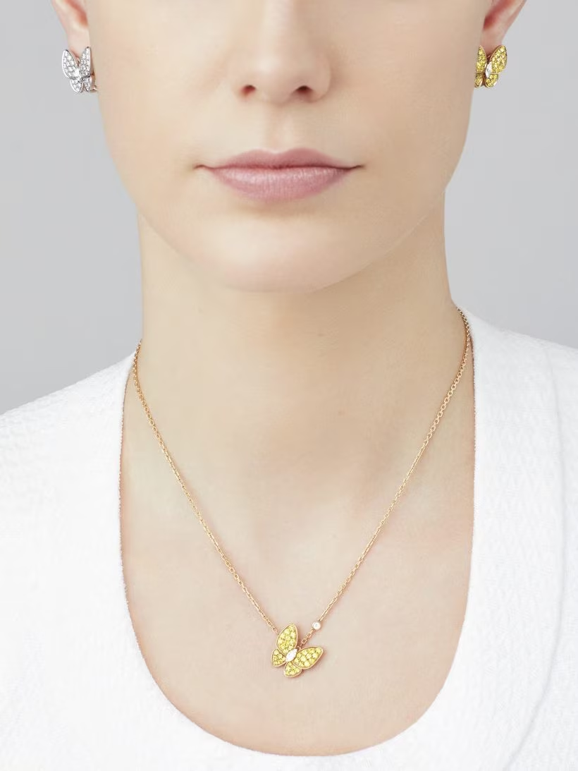 Two Butterfly earrings